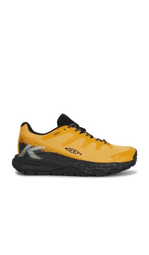Targhee Apex WP in Yellow. - size 8 (also in 8.5, 9, 9.5, 10, 10.5, 11, 12, 13) - KEEN - Modalova