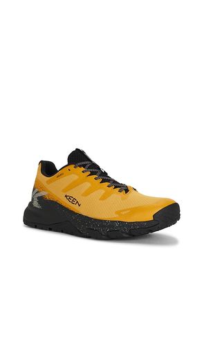 Targhee Apex WP in Yellow. - size 8 (also in 8.5, 9, 9.5, 10, 10.5, 11, 12, 13) - KEEN - Modalova