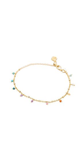 Camry chain bracelet in color metallic gold size all in - Metallic Gold. Size all - Kendra Scott - Modalova