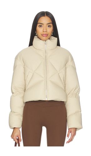 Daisy Short Jacket in Beige. - size 38/XS (also in 40/S, 42/M, 44/L) - Khrisjoy - Modalova