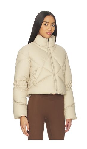 Daisy short jacket in color beige size 40/S (also in 42/M) - Khrisjoy - Modalova