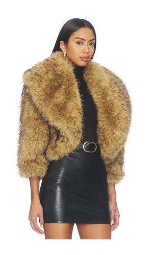 Georgia Faux Fur Moon Jacket in . - size M (also in S, XS) - Kim Shui - Modalova