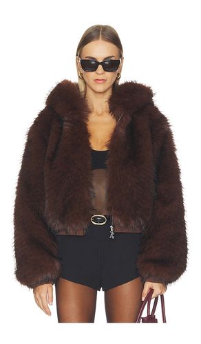 Hooded Faux Fur Jacket in Chocolate. - size L (also in M, S, XS) - Kim Shui - Modalova