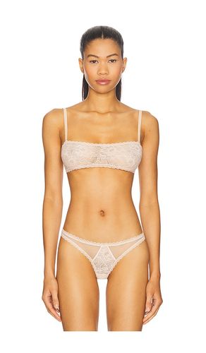 Dahlia Lace Bandeau in . - size L (also in M, S, XL, XS) - Kiki de Montparnasse - Modalova