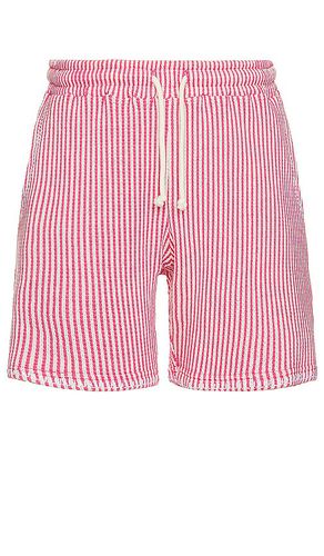 Striped Knit Shorts in Pink. - size L (also in XL/1X) - KROST - Modalova