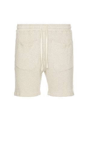 Striped Knit Shorts in Beige. - size L (also in M, S) - KROST - Modalova