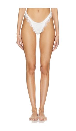 Sorrento Thong in . - size M (also in L, XL, XS) - KAT THE LABEL - Modalova