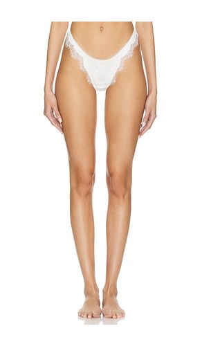 Sorrento Thong in . - size XL (also in L) - KAT THE LABEL - Modalova