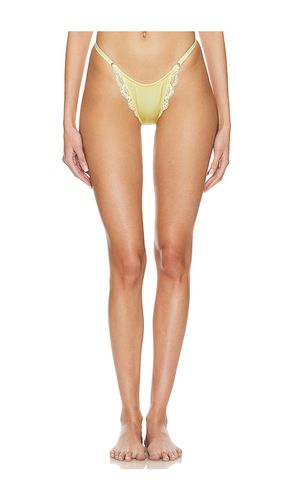 Bowie Thong in Yellow. - size L (also in M, XL) - KAT THE LABEL - Modalova