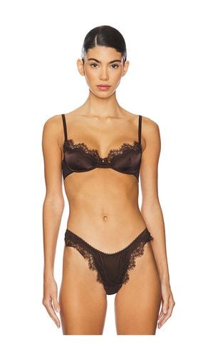 Sorrento Underwire Bra in Brown. - size L (also in M) - KAT THE LABEL - Modalova