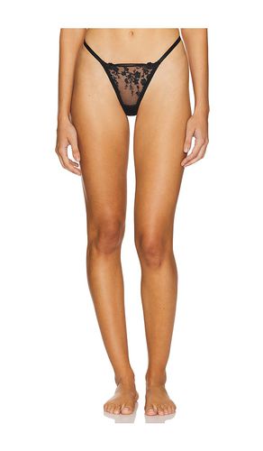 Sofia Thong in . - size L (also in S, XL, XS) - KAT THE LABEL - Modalova