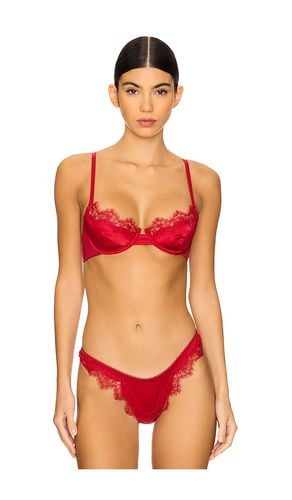 Sorrento Underwire Bra in . - size L (also in M, S, XS) - KAT THE LABEL - Modalova