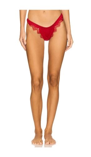 Sorrento Thong in . - size L (also in M, S, XL) - KAT THE LABEL - Modalova