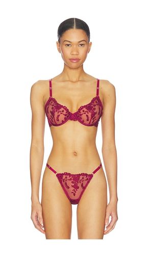 Nicolette Underwire Bra in . - size S (also in XS) - KAT THE LABEL - Modalova