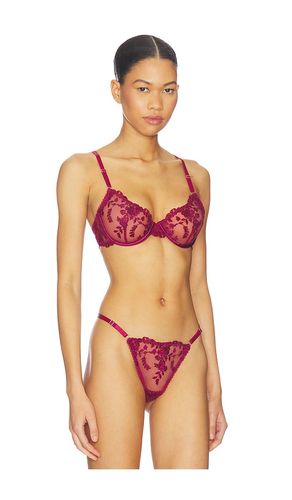 Nicolette Underwire Bra in . - size S (also in XS) - KAT THE LABEL - Modalova