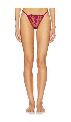Nicolette Thong in . - size L (also in XL) - KAT THE LABEL - Modalova