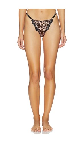 Alix Thong in Brown. - size XL (also in XXL) - KAT THE LABEL - Modalova