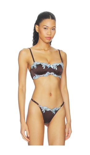 Jean Underwire Bra in Brown. - size L (also in M, S, XS) - KAT THE LABEL - Modalova
