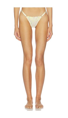 Amelia Thong in Yellow. - size L (also in M, S, XS) - KAT THE LABEL - Modalova