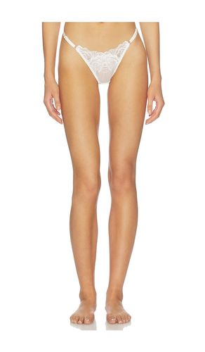 Charli Thong in . - size M (also in S, XL, XS) - KAT THE LABEL - Modalova