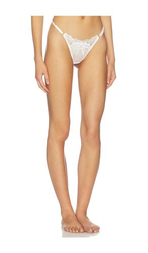 Charli Thong in . - size M (also in S, XL, XS) - KAT THE LABEL - Modalova