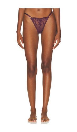Nicolette Thong in Burgundy. - size S (also in XL) - KAT THE LABEL - Modalova
