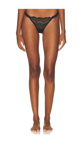 Belvedere Thong in . - size L (also in M, S, XL) - KAT THE LABEL - Modalova