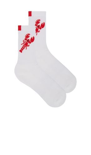 The Women's Lobster Sock in - Kule - Modalova