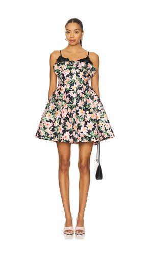Odile Dress in Black. - size 0 (also in 10, 2, 4, 6, 8) - KIKA VARGAS - Modalova