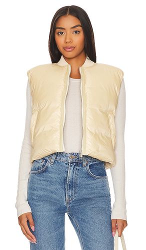 X Marianna Brooklyn Puffer Vest in Cream. - size L (also in M, XL) - L'Academie - Modalova