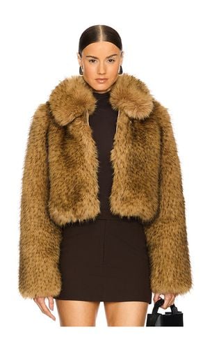 Savoie Faux Fur Jacket in . Size M, S, XL, XS - L'Academie - Modalova