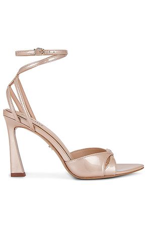 Bianca 95 Sandal in . Taglia 38 - Lola Cruz - Modalova