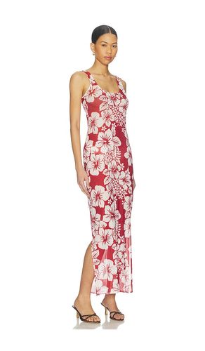 Roselle Mesh Dress in . Size L. Also in S, XL - Leslie Amon - Modalova