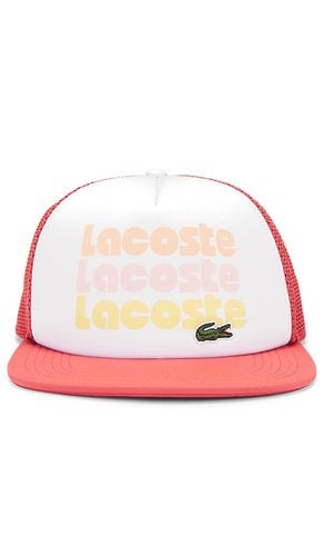 Lacoste Wording Cap in Burgundy - Lacoste - Modalova