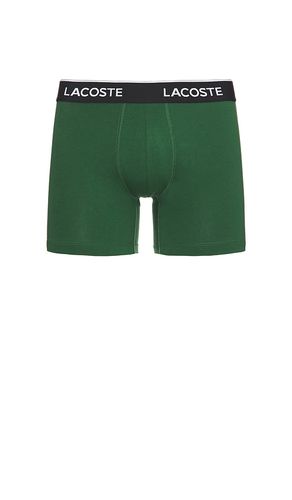Cotton Jersey Boxer Briefs 3-Pack in . - size L (also in M, S, XL/1X, XXL/2X) - Lacoste - Modalova