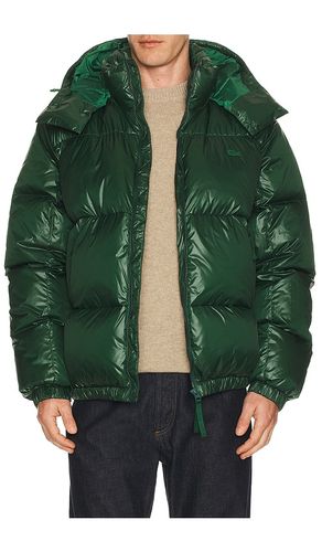 Nylon Shiney Puffer Jacket in . Size 58. Also in 46 - Lacoste - Modalova