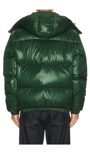 Nylon Shiney Puffer Jacket in . Size 58. Also in 46 - Lacoste - Modalova
