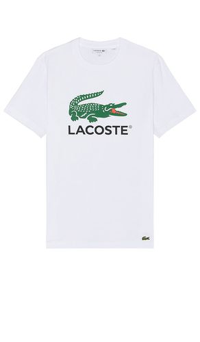 Regular Fit Tee in White. - size 4 (also in 5) - Lacoste - Modalova