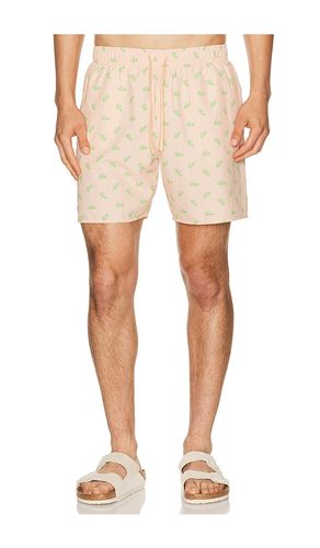 Swim Short in . Size L. Also in S, XL/1X - Lacoste - Modalova