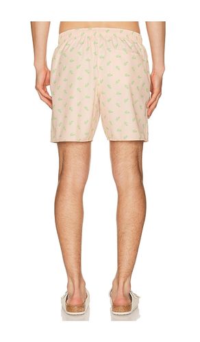 Swim Short in . Taglia S. Also in XL/1X - Lacoste - Modalova