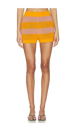 Resille Raye Shorts in . Size 32. Also in 34, 38, 36 - Lacoste - Modalova