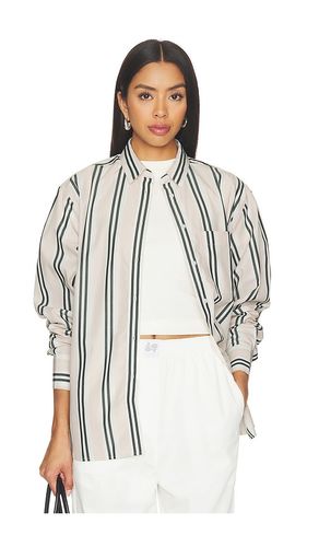 Striped Shirt in . Size 32. Also in 34, 36, 38, 40, 42 - Lacoste - Modalova