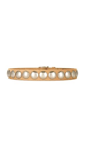 X REVOLVE Disc Studded Belt in . Size S. Also in XS - LAMARQUE - Modalova