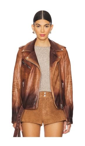 Megumi Jacket in Brown. - size L (also in M, S, XL, XS) - LAMARQUE - Modalova