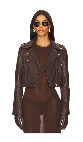 Ciara Biker Jacket in Brown. - size L (also in XL, XXS) - LAMARQUE - Modalova