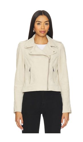 Donna Jacket in . Size M. Also in XS - LAMARQUE - Modalova