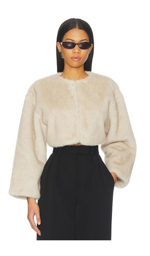 Rowdie Faux Fur Jacket in . Size L. Also in XL - LAMARQUE - Modalova