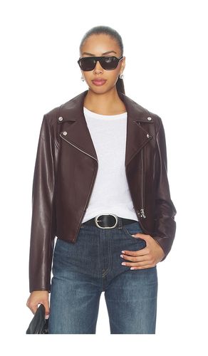 Pascale Jacket in Wine. - size L (also in M, S, XS) - LAMARQUE - Modalova