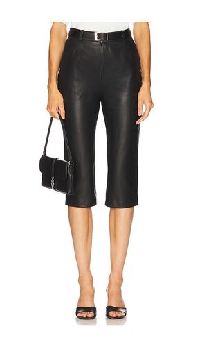Chiara Pant in . - size M (also in XL, XS) - LAMARQUE - Modalova