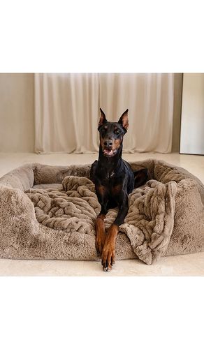 The Pet Blanket in - Lola Blankets - Modalova